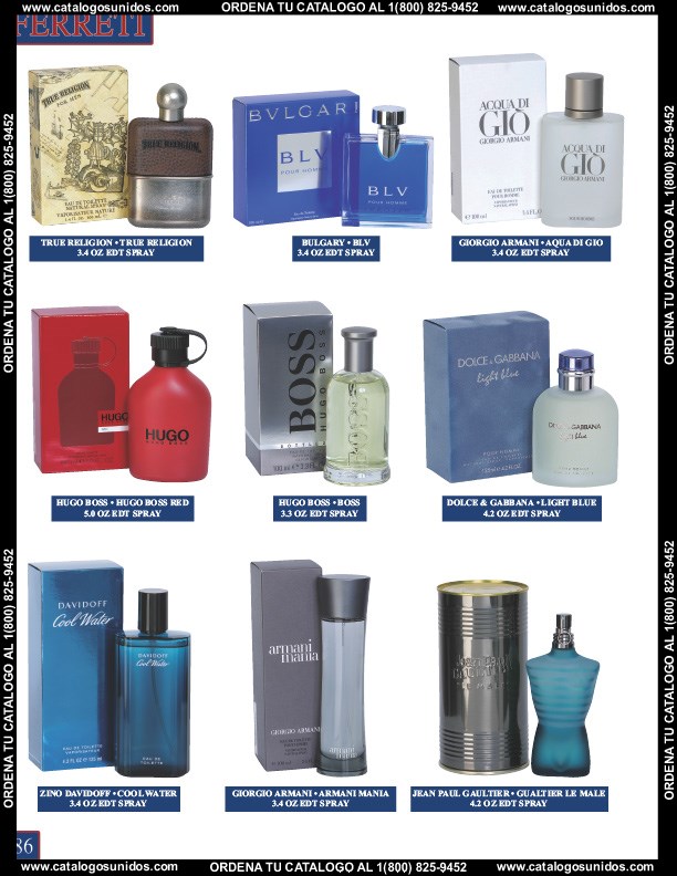 Ferreti2014 (Page 86)